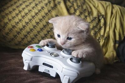  چیزهایی که ما گیمرها از آن‌ها متنفر هستیم (قسمت دوم) | گیمفا