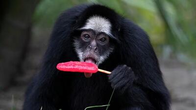 تابستان و زمستان دو روی سکه زمین!