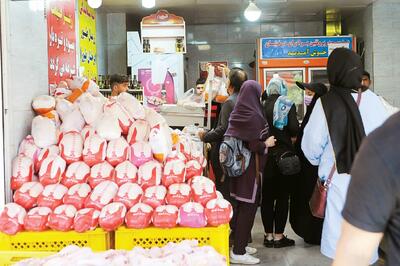 ساز مرغ کوک شد