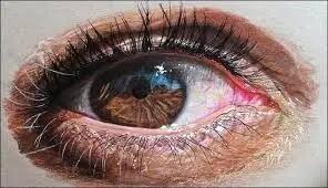 نقاشی‌های باورنکردنی و فراواقعی از «چشم»