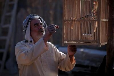 نخستین عکس سروش صحت و سعید آقاخانی در «پل»