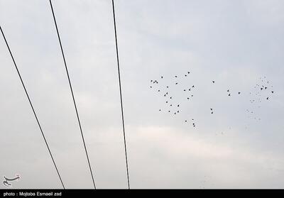  هوای تهران در مرز «قرمز»