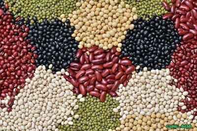  قیمت حبوبات در بازار + جزییات جدید