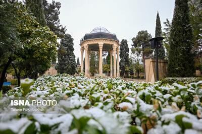  عکس | تصاویر زیبا از بارش برف در شیراز پس از ۱۲ سال