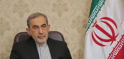 ولایتی: ترامپ از ترس شکست به سرعت تسلیم می‌شود