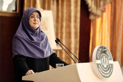  سخنگوی دولت: دولت تلاش می‌کند تا از طریق دیپلماسی موضوعات را حل کند/ این به معنای آن نیست که سایر گزینه‌ها از روی میز دولت و حاکمیت ایران کنار رفته