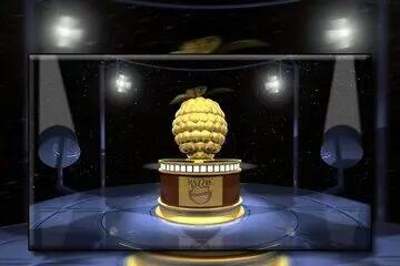 نامزدهای تمشک طلایی ۲۰۲۶ اعلام شد/ نیکلاس کیج و سیلوستر استالونه در صدر بدترین بازیگران