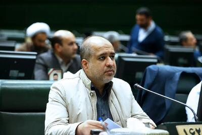 اذعان نماینده تهران به وجود شبکه‌های مافیایی/ مجلس از این موضوع کوتاه نخواهد آمد