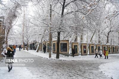 بارش برف و باران در تهران/ کاهش دما تا ۱۱ درجه