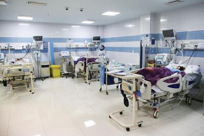 لاف تربیت ۵۰ هزار پزشک در یک سال!