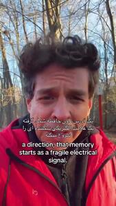 چگونه حافظه تان را سه برابر کنید؟ + فیلم