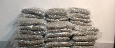  کشف بیش از ۵ کیلوگرم مواد مخدر در دماوند