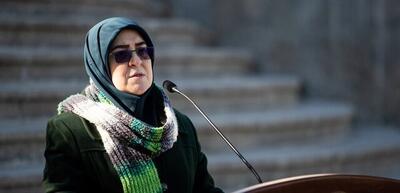 مهاجرانی: تمایلی به تنش نداریم، اما در دفاع از ایران مصمم و قاطع هستیم