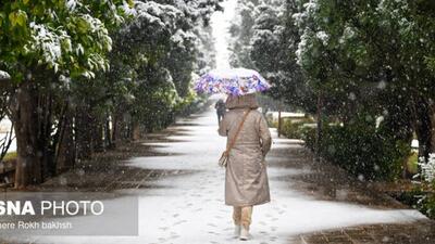  بارش برف در شیراز پس از ۱۲ سال
