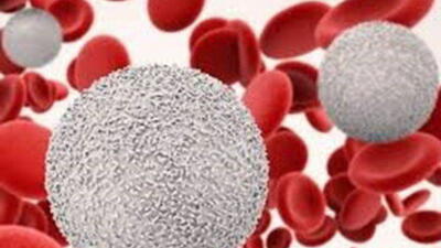  افت گلبول سفید خون، زنگ خطر سلامت بدن