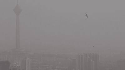 مدارس تهران فردا مجازی می‌شود؟