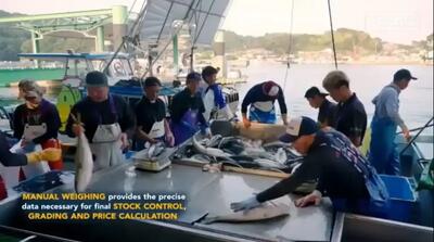  ویدئویی دیدنی از پرورش ماهی در مزارع پهناور ژاپن