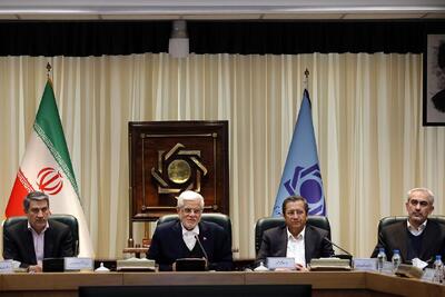 تمجید عارف از طرح کالابرگ الکترونیکی: موفق بود!/ اصلاح قیمت بنزین و کالابرگ الکترونیکی، تصمیم‌هایی صحیح بودند