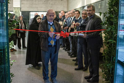 وقتی خدمت متوقف نمی شود؛ زیارت مشهد برای بازنشستگان تامین اجتماعی کلید خورد