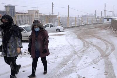 تصاویری از بارش زیبای برف در شهر مهاباد