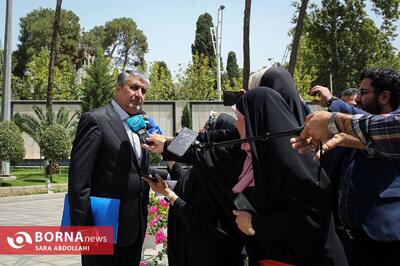 واکنش شدید اسلامی به ادعاهای اخیر گروسی