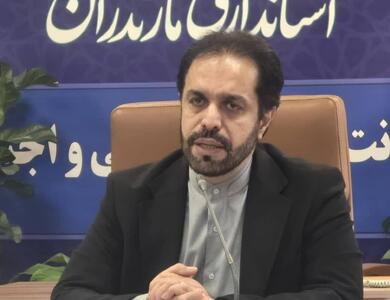  حسینی‌جو: حضور ۱۰۵ داوطلب با تحصیلات دکتری چهره شوراها را متحول و عملکردها را ارتقا می‌دهد