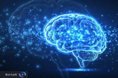  کشف شباهت شگفت‌انگیز مغز به هوش مصنوعی؛ انسان چگونه زبان را درک می‌کند؟