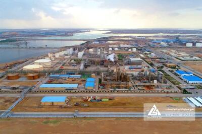 علت تغییر سود «شفن» چه بود؟