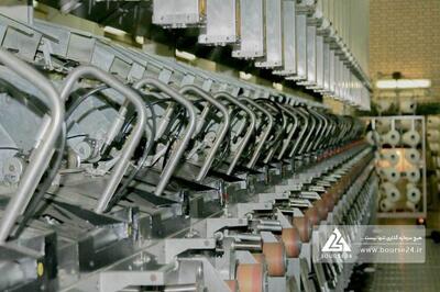 «نطرین» از آثار حذف ارز ترجیحی گفت