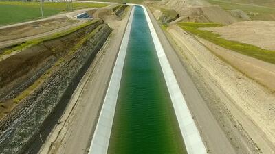 تغییر سیاست الگوی کشت با حذف ارز ترجیحی شدنی است