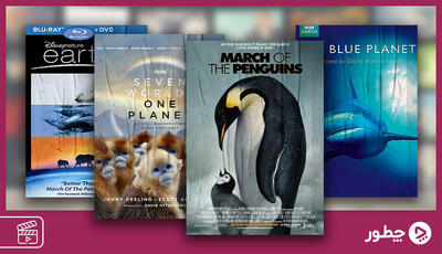  بهترین مستند های حیات وحش جهان؛ از سیاره ما تا رژه پنگوئن‌ها