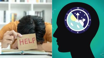  چرا چرخه های مغزی در یادگیری مهم اند؟