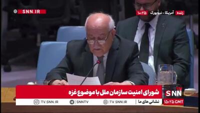  نماینده فلسطین در نشست شورای امنیت: بازداشتی‌ها تحت شکنجه‌ هستند/  از آتش‌بس تا الان، تعداد زیادی کشته و مجروح شده‌اند + فیلم