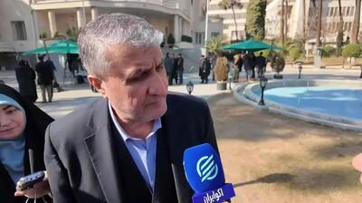 ایران، خود به فردو و نطنز دسترسی دارد؟/ پاسخ رییس سازمان انرژی اتمی