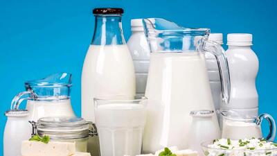 قیمت شیر برای چندمین بار گران شد