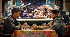 افتتاح جشنواره برلین با فیلم شهربانوسادات - سایت خبری اقتصاد پویا