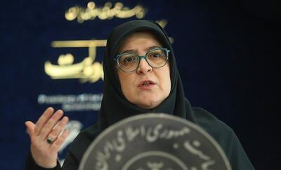  چرا اعتراضات به اغتشاشات کشیده شد؟/ سخنگوی دولت: جوانان خواسته‌هایی دارند که باید بشنویم