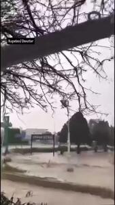 ببینید| شناور شدن خودروها در کوش‌آداسی ترکیه پس از بارش شدید باران