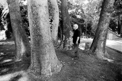 کاشت درخت افرا به یاد بهرام بیضایی - فیلم‌ نت نیوز