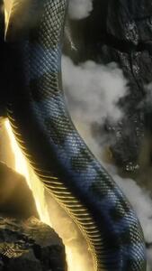 ویدئو: وقتش است که از دیوار زرد بالا برویم!