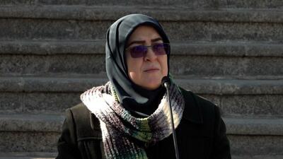 مهاجرانی: تمایلی به تنش نداریم اما در دفاع از ایران مصمم و قاطع هستیم