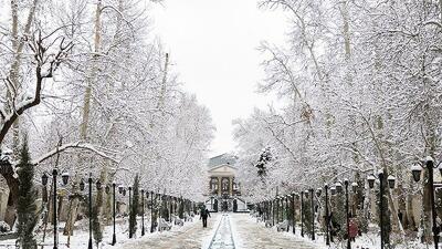  گزارش تصویری / تهران برفی