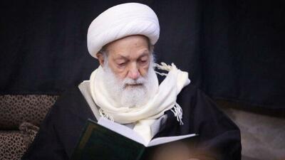 آیت‌الله خامنه‌ای از حمایت گسترده‌ای در جهان برخوردار است