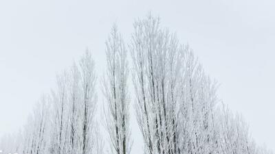  گزارش تصویری/سایه سفید