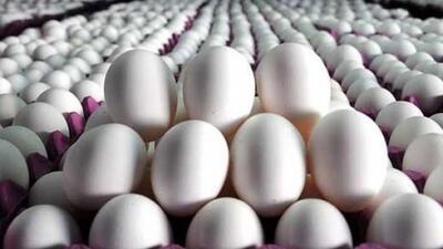 قیمت تخم مرغ در بازار امروز
