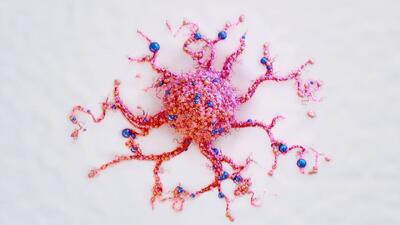 نانوذرات مجهز به حسگر با هوش مصنوعی؛ گامی به‌سوی غربالگری خانگی سرطان - ایران ویو 24