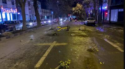 عادی‌سازی کشته‌سازی و مهندسی ادراک تلفات انسانی ایران - ایران ویو 24