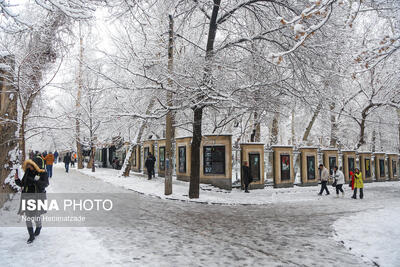 بارش برف و باران در تهران/ کاهش دما تا ۱۱ درجه