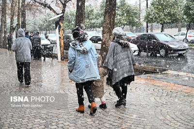  بارش ملایم برف و باران طی امشب و فردا در همدان