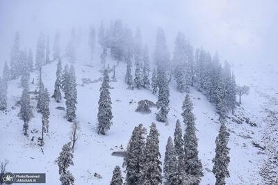  برف کوری چیست؟